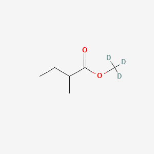 molecular formula C6H12O2 B592418 DL-2-Methylbutyric Acid Methyl-d3 Ester CAS No. 1082582-07-7
