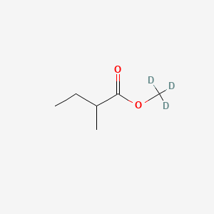 molecular formula C6H12O2 B592418 Trideuteriomethyl 2-methylbutanoate CAS No. 1082582-07-7