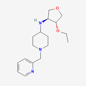 molecular formula C17H27N3O2 B5927224 N-[(3S,4R)-4-ethoxyoxolan-3-yl]-1-(pyridin-2-ylmethyl)piperidin-4-amine 