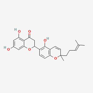 molecular formula C25H26O6 B592821 Sanggenon N 