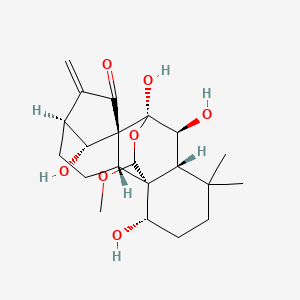 molecular formula C21H30O7 B592908 Rabdoternin F CAS No. 155977-87-0