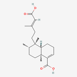 molecular formula C20H30O4 B592924 Kolavic acid CAS No. 1782-71-4