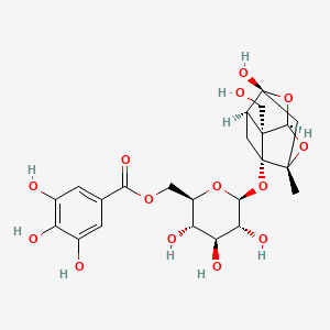 Debenzoylgalloylpaeoniflorin