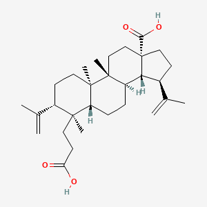 molecular formula C30H46O4 B593244 3,4-Secolupa-4(23),20(29)-diene-3,28-dioic acid CAS No. 36138-41-7