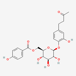 molecular formula C23H26O10 B593401 Salviaplebeiaside 