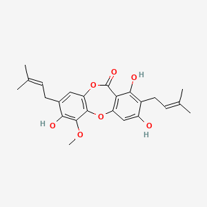 molecular formula C24H26O7 B593403 Paucinervin A 