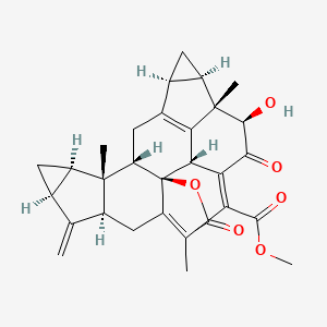 molecular formula C31H34O6 B593536 Shizukaol A 