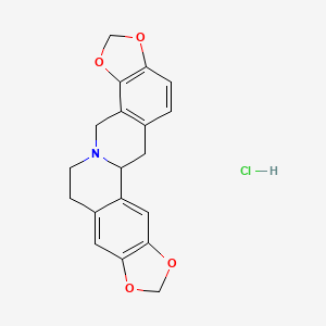 molecular formula C19H18ClNO4 B593557 Stylopine hydrochloride 