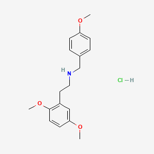 25H-NB4OMe (hydrochloride)