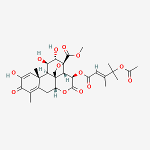 molecular formula C30H36O13 B593635 (+)-Dehydrobruceantinol CAS No. 99132-99-7