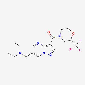 molecular formula C17H22F3N5O2 B5936447 N-ethyl-N-[(3-{[2-(trifluoromethyl)morpholin-4-yl]carbonyl}pyrazolo[1,5-a]pyrimidin-6-yl)methyl]ethanamine 