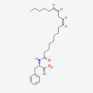 molecular formula C27H41NO3 B593687 Linoleoyl phenylalanine CAS No. 2441-64-7
