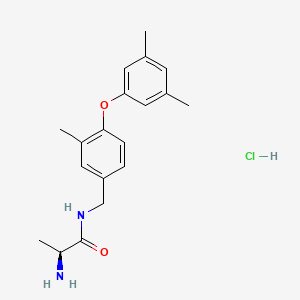 molecular formula C19H25ClN2O2 B593814 SGC2085 hydrochloride CAS No. 1821908-49-9