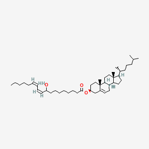 (+/-)-9-Hydroxy-10E,12Z-octadecadienoic acid, cholesteryl ester
