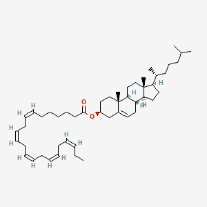 molecular formula C49H78O2 B593899 Cholesteryl docosapentaenoate 