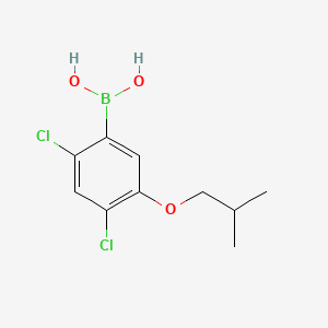 2,4-Dichloro-5-isobutoxyphenylboronic acid