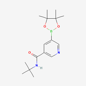 molecular formula C16H25BN2O3 B593959 N-(叔丁基)-5-(4,4,5,5-四甲基-1,3,2-二恶硼烷-2-基)烟酰胺 CAS No. 1218790-03-4