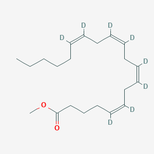 molecular formula C21H34O2 B593977 Arachidonic Acid methyl ester-d8 CAS No. 19245-55-7