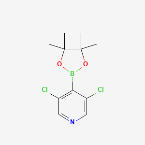 molecular formula C11H14BCl2NO2 B594002 3,5-DICHLORO-4-PYRIDINEBORONIC ACID PINACOL ESTER CAS No. 1257641-28-3
