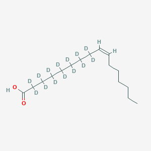 molecular formula C16H30O2 B594036 Palmitoleic Acid-d14 CAS No. 184708-66-5