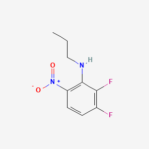 molecular formula C9H10F2N2O2 B594118 N-Propyl 2,3-difluoro-6-nitroaniline CAS No. 1250052-21-1