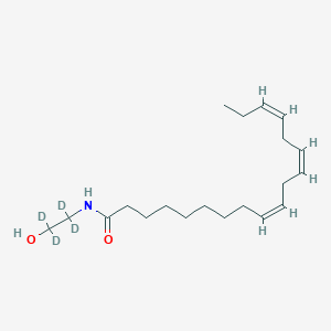 molecular formula C20H31D4NO2 B594188 alpha-Linolenoyl Ethanolamide-d4 CAS No. 1451194-68-5