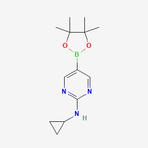 molecular formula C13H20BN3O2 B594226 N-Cyclopropyl-5-(4,4,5,5-tetramethyl-1,3,2-dioxaborolan-2-yl)pyrimidin-2-amine CAS No. 1218789-33-3