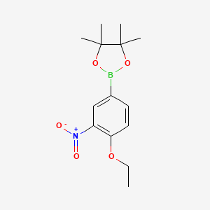molecular formula C14H20BNO5 B594245 2-(4-Ethoxy-3-nitrophenyl)-4,4,5,5-tetramethyl-1,3,2-dioxaborolane CAS No. 1218791-20-8