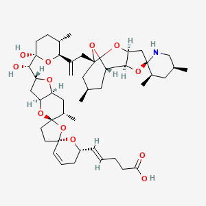 molecular formula C46H69NO12 B594265 Azaspiracid 3 CAS No. 265996-93-8