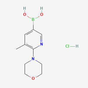 5-Methyl-6-morpholinopyridin-3-ylboronic acid hydrochloride