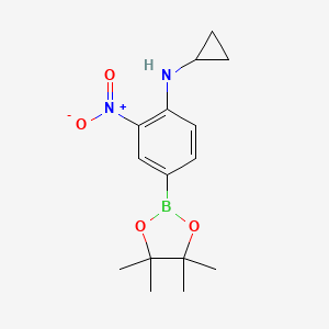 molecular formula C15H21BN2O4 B594449 N-Cyclopropyl-2-nitro-4-(4,4,5,5-tetramethyl-1,3,2-dioxaborolan-2-yl)aniline CAS No. 1218791-36-6