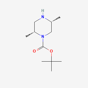 molecular formula C11H22N2O2 B594463 (2R,5R)-2,5-二甲基哌嗪-1-羧酸叔丁酯 CAS No. 1240586-48-4