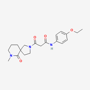 molecular formula C20H27N3O4 B5945679 N-(4-ethoxyphenyl)-3-(7-methyl-6-oxo-2,7-diazaspiro[4.5]dec-2-yl)-3-oxopropanamide 