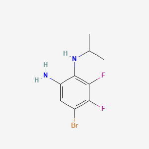 molecular formula C9H11BrF2N2 B594582 5-Bromo-3,4-difluoro-2-(isopropylamino)aniline CAS No. 1365271-32-4