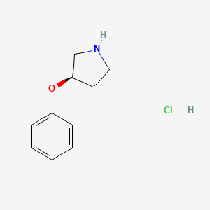molecular formula C10H14ClNO B594616 (R)-3-苯氧基吡咯烷盐酸盐 CAS No. 1366664-52-9