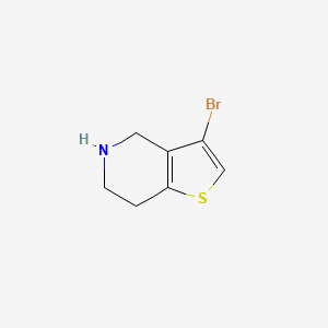 molecular formula C7H8BrNS B594647 3-Bromo-4,5,6,7-tetrahydrothieno[3,2-c]pyridine CAS No. 1257854-58-2