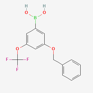 molecular formula C14H12BF3O4 B594662 3-(Benzyloxy)-5-(trifluoromethoxy)phenylboronic acid CAS No. 1256345-95-5