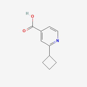 molecular formula C10H11NO2 B594669 2-Cyclobutylisonicotinic acid CAS No. 1369158-34-8
