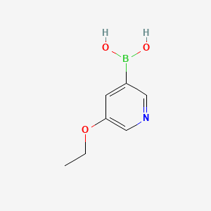 molecular formula C7H10BNO3 B594758 (5-Ethoxypyridin-3-yl)boronic acid CAS No. 1224436-34-3