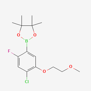 2-(4-Chloro-2-fluoro-5-(2-methoxyethoxy)phenyl)-4,4,5,5-tetramethyl-1,3,2-dioxaborolane