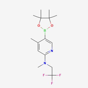 molecular formula C15H22BF3N2O2 B594800 n,4-Dimethyl-5-(4,4,5,5-tetramethyl-1,3,2-dioxaborolan-2-yl)-n-(2,2,2-trifluoroethyl)pyridin-2-amine CAS No. 1353746-93-6