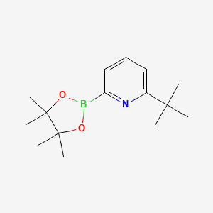 molecular formula C15H24BNO2 B594801 2-(tert-Butyl)-6-(4,4,5,5-tetramethyl-1,3,2-dioxaborolan-2-yl)pyridine CAS No. 1264141-60-7