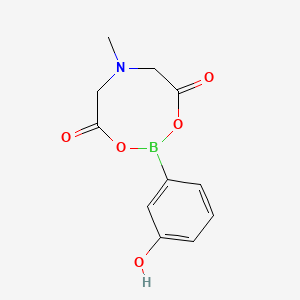 molecular formula C11H12BNO5 B594811 2-(3-Hydroxyphenyl)-6-methyl-1,3,6,2-dioxazaborocane-4,8-dione CAS No. 1257724-90-5