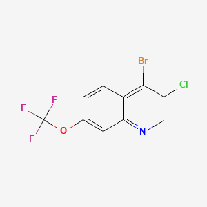 molecular formula C10H4BrClF3NO B594905 4-Bromo-3-chloro-7-(trifluoromethoxy)quinoline CAS No. 1210996-42-1