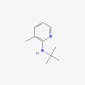 molecular formula C10H16N2 B594911 N-(tert-Butyl)-3-methylpyridin-2-amine CAS No. 1235305-63-1