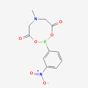molecular formula C11H11BN2O6 B594923 6-甲基-2-(3-硝基苯基)-1,3,6,2-二噁杂硼环-4,8-二酮 CAS No. 1311484-45-3