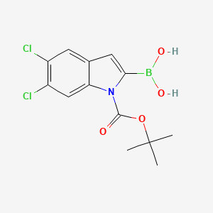 molecular formula C13H14BCl2NO4 B594933 1-Boc-5,6-二氯-1H-吲哚-2-硼酸 CAS No. 1310384-28-1