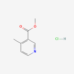 molecular formula C8H10ClNO2 B594948 Methyl 4-methylnicotinate hydrochloride CAS No. 1352443-13-0