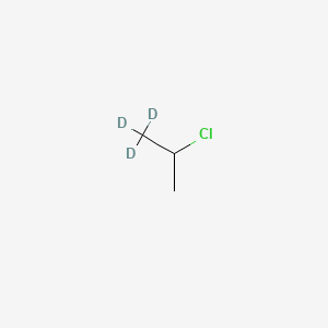 molecular formula C3H7Cl B594967 2-Chloropropane-1,1,1-D3 CAS No. 137832-55-4