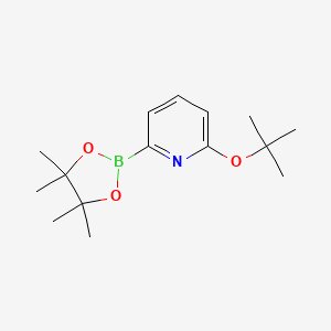 6-(tert-Butoxy)pyridine-2-boronic acid pinacol ester